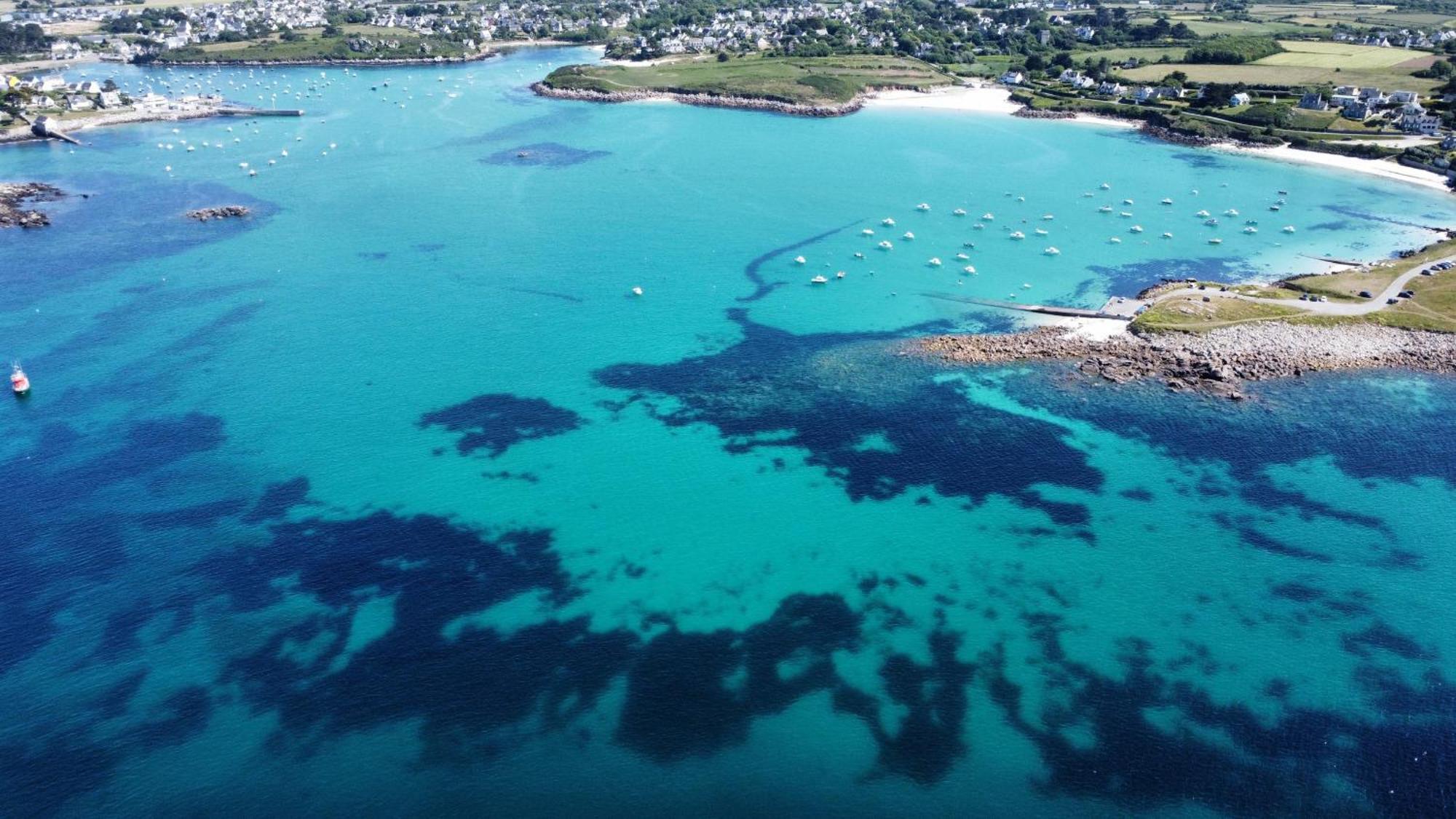 Roscaroc Enez Hir - Charmant T4 Proche Plage Ploudalmézeau Εξωτερικό φωτογραφία